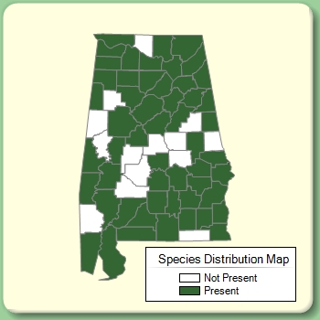 Species Distribution Map