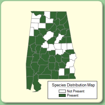 Species Distribution Map