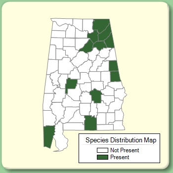 Species Distribution Map