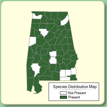 Species Distribution Map