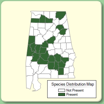 Species Distribution Map