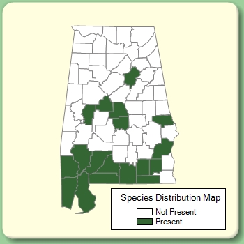 Species Distribution Map