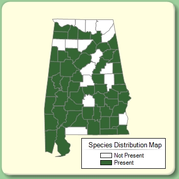 Species Distribution Map