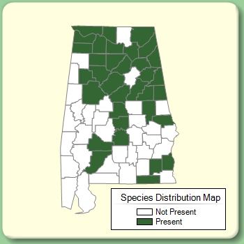 Species Distribution Map