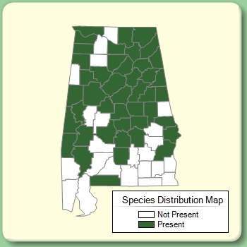 Species Distribution Map