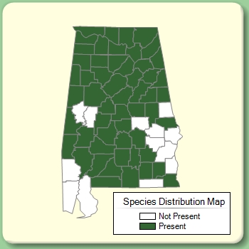 Species Distribution Map