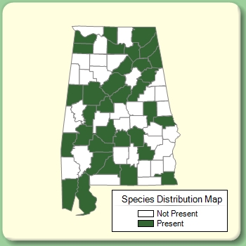 Species Distribution Map