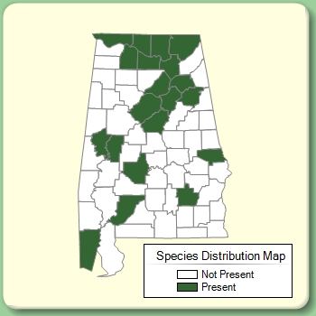 Species Distribution Map