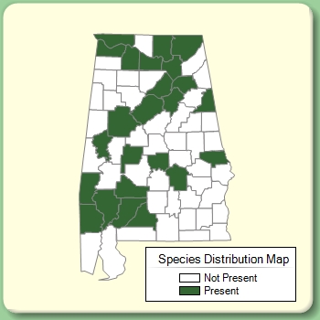 Species Distribution Map