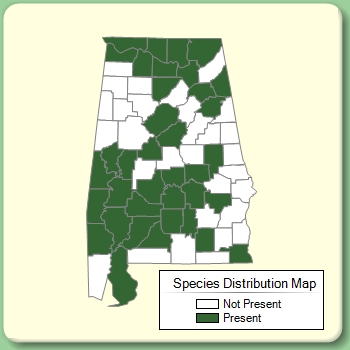 Species Distribution Map