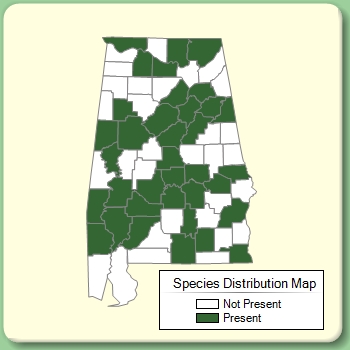 Species Distribution Map