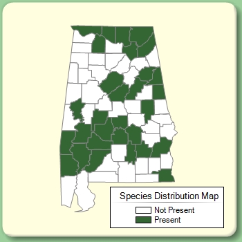 Species Distribution Map