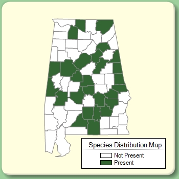 Species Distribution Map