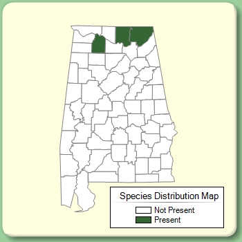 Species Distribution Map