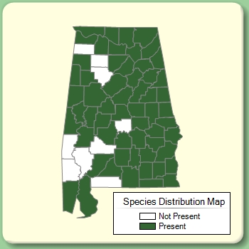 Species Distribution Map