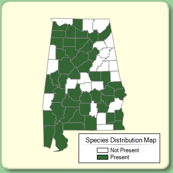 Species Distribution Map