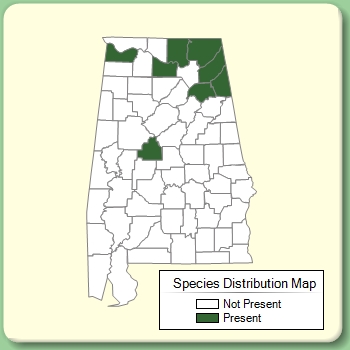 Species Distribution Map