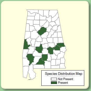 Species Distribution Map