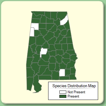 Species Distribution Map