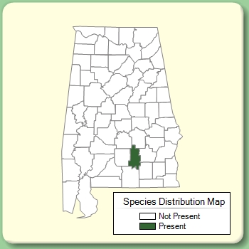 Species Distribution Map