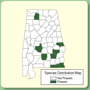 Species Distribution Map