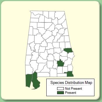 Species Distribution Map