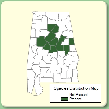 Species Distribution Map