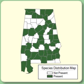 Species Distribution Map