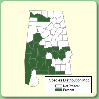 Species Distribution Map