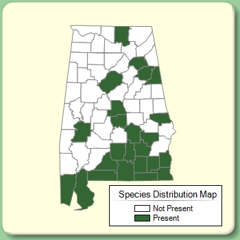 Species Distribution Map