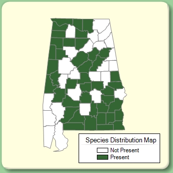 Species Distribution Map