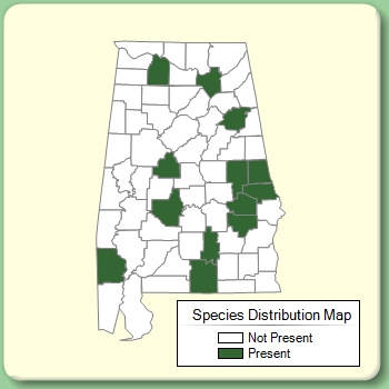 Species Distribution Map