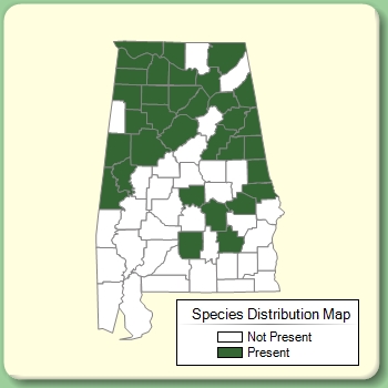 Species Distribution Map