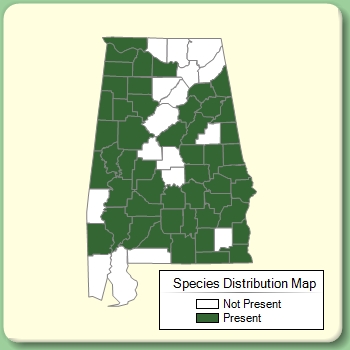 Species Distribution Map