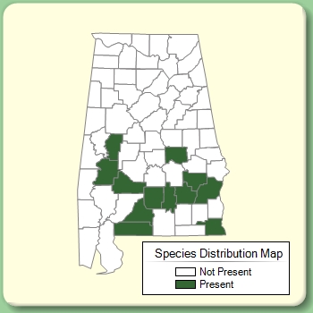 Species Distribution Map