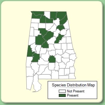 Species Distribution Map