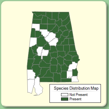 Species Distribution Map