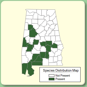 Species Distribution Map