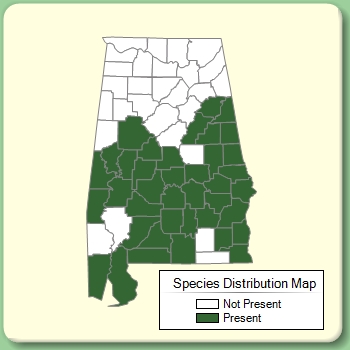 Species Distribution Map