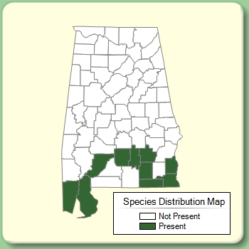 Species Distribution Map