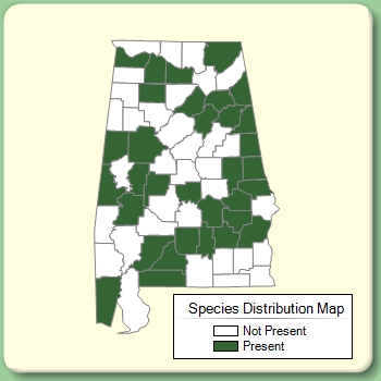 Species Distribution Map