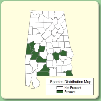 Species Distribution Map