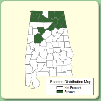 Species Distribution Map