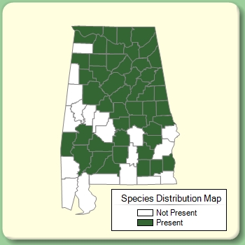 Species Distribution Map