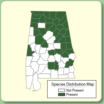 Species Distribution Map