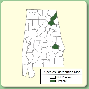 Species Distribution Map