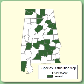 Species Distribution Map