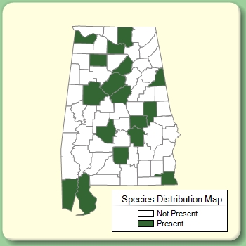 Species Distribution Map