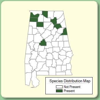 Species Distribution Map