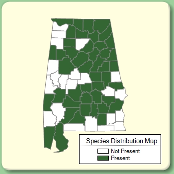 Species Distribution Map